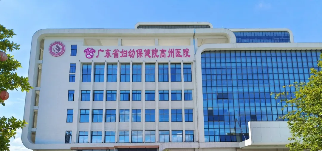 【妇幼大健康 助力百千万】高州荔红，妇幼情浓“百千万工程”育健康硕果 省级资源沉县域解民生之忧——省妇幼帮扶高州妇幼周年记